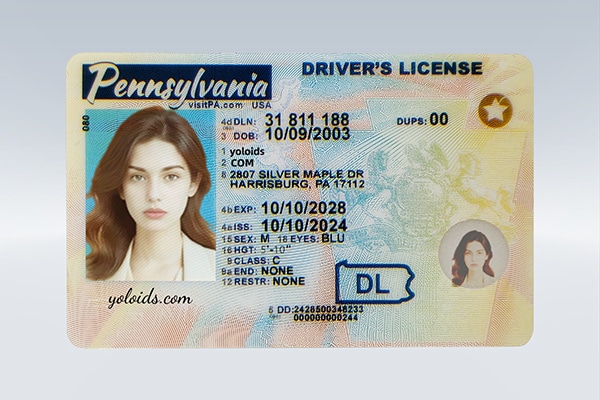 IMG_20251014_1634212