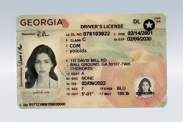 IMG20250519094221-拷贝 Georgia